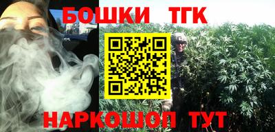 молекула духа Будённовск