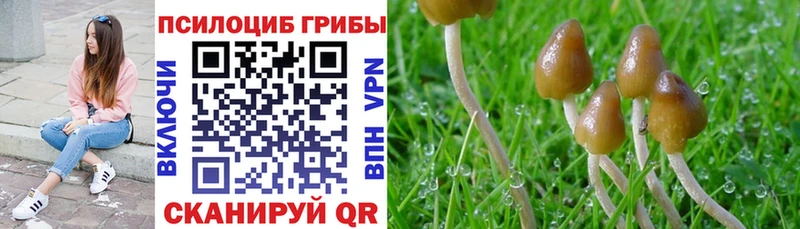 Псилоцибиновые грибы мухоморы Выборг