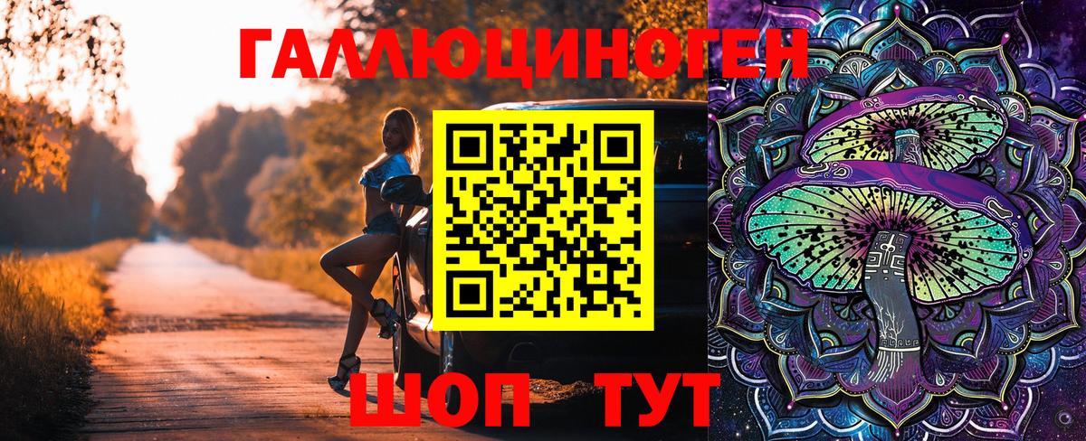 где купить   Выборг  Галлюциногенные грибы Psilocybine cubensis 