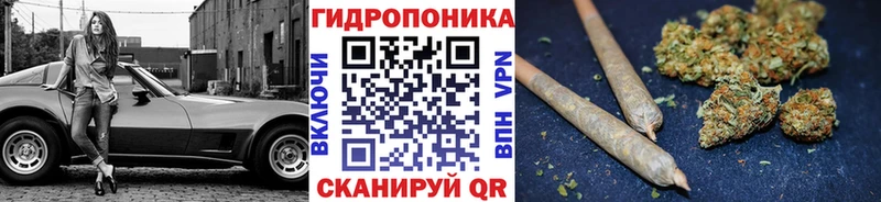 МЕГА tor  Выборг  Канабис гибрид  даркнет сайт 